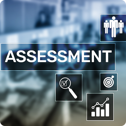 assessment